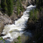 Carnito Canyon, Joe Wright Creek