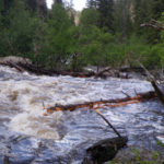 Wood in the main drop of the Little South Fork