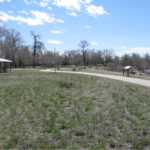 Lions park