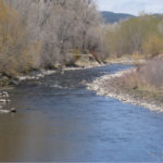 Streambed at the proposed site - downsteam location